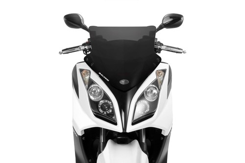 4515116 cupolino parabrezza - 4515116,